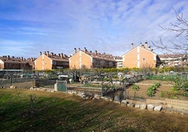 Huertos de Arroyo de la Encomienda