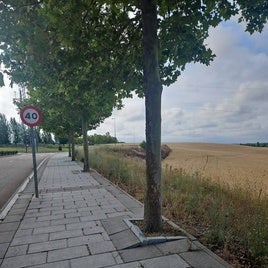 Alcorques en la carretera de Ciguñuela