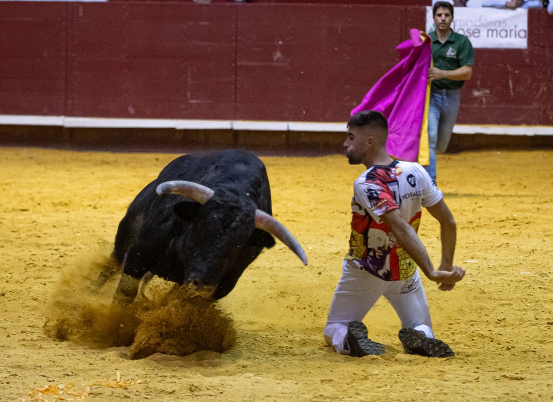 Emocionante campeonato de cortes de Castilla y León
