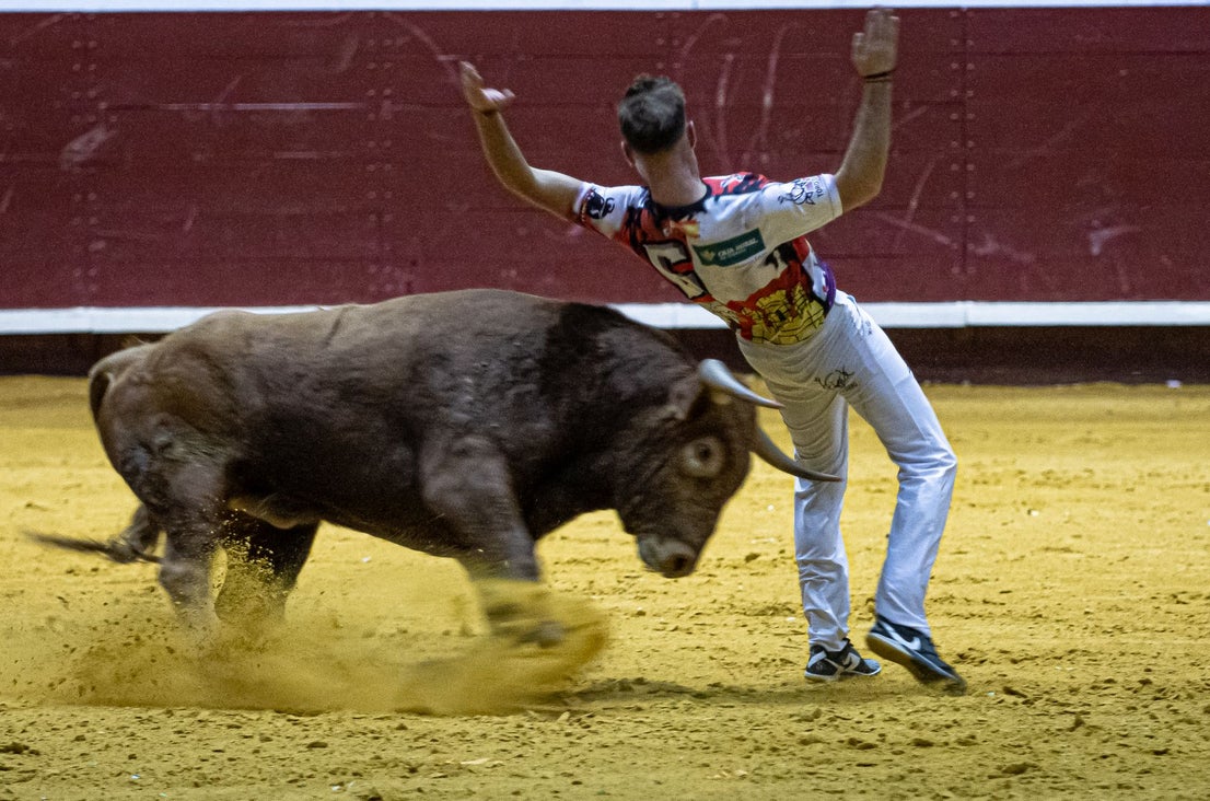 Emocionante campeonato de cortes de Castilla y León