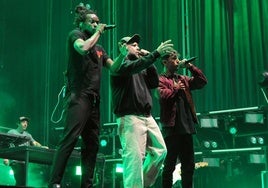 Concierto de La Raíz en Arroyo de la Encomienda