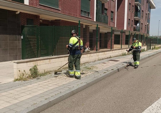 Trabajadores eliminando las malas hierbas en las calles de Arroyo