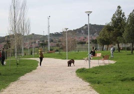 Parque canino de Las Lomas en Arroyo de la Encomienda