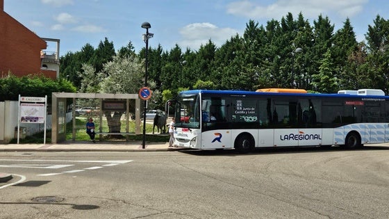 Arroyo pone en marcha el 'Búho Fiestas', un servicio especial de autobús nocturno gratuito que estrenará en San Juan