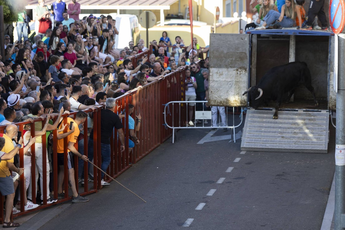 El encierro de Arroyo, en imágenes