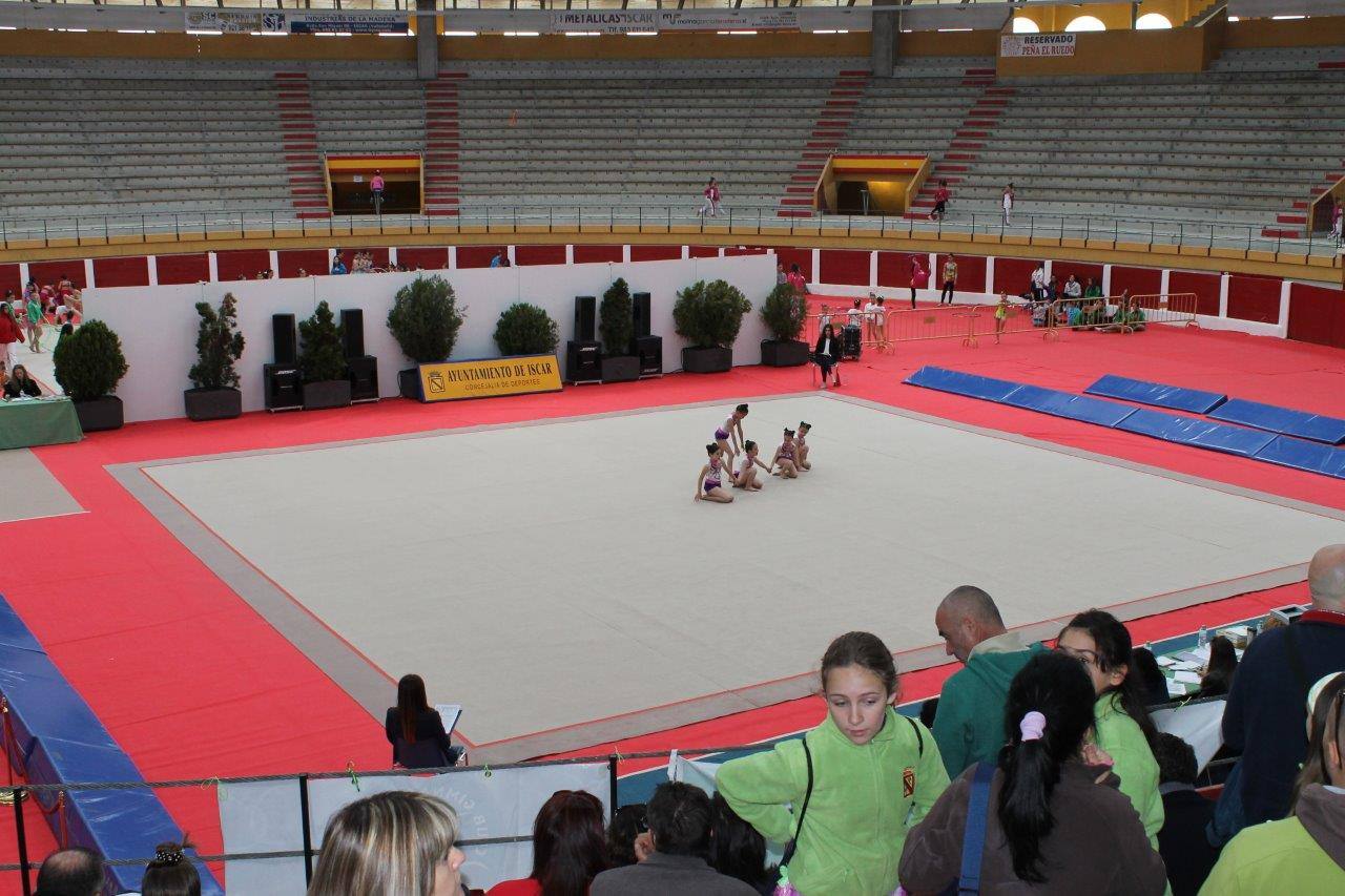Campeonato Escolar de Gimnasia Rítmica de Castilla y León 2014 celebrado en Íscar (1/3)