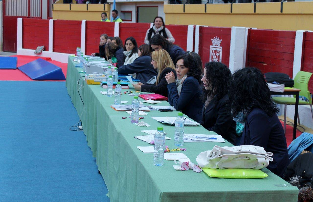 Campeonato Escolar de Gimnasia Rítmica de Castilla y León 2014 celebrado en Íscar (1/3)