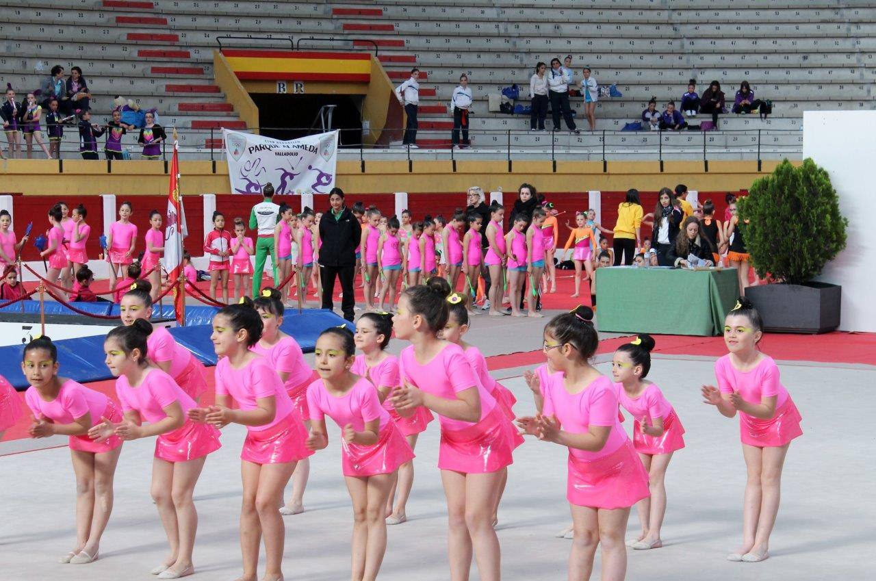 Campeonato Escolar de Gimnasia Rítmica de Castilla y León 2014 celebrado en Íscar (2/3)