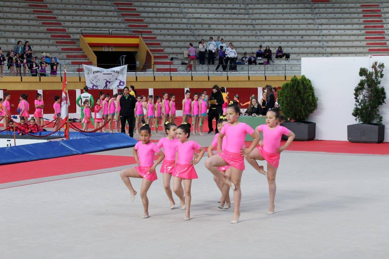 Campeonato Escolar de Gimnasia Rítmica de Castilla y León 2014 celebrado en Íscar (2/3)