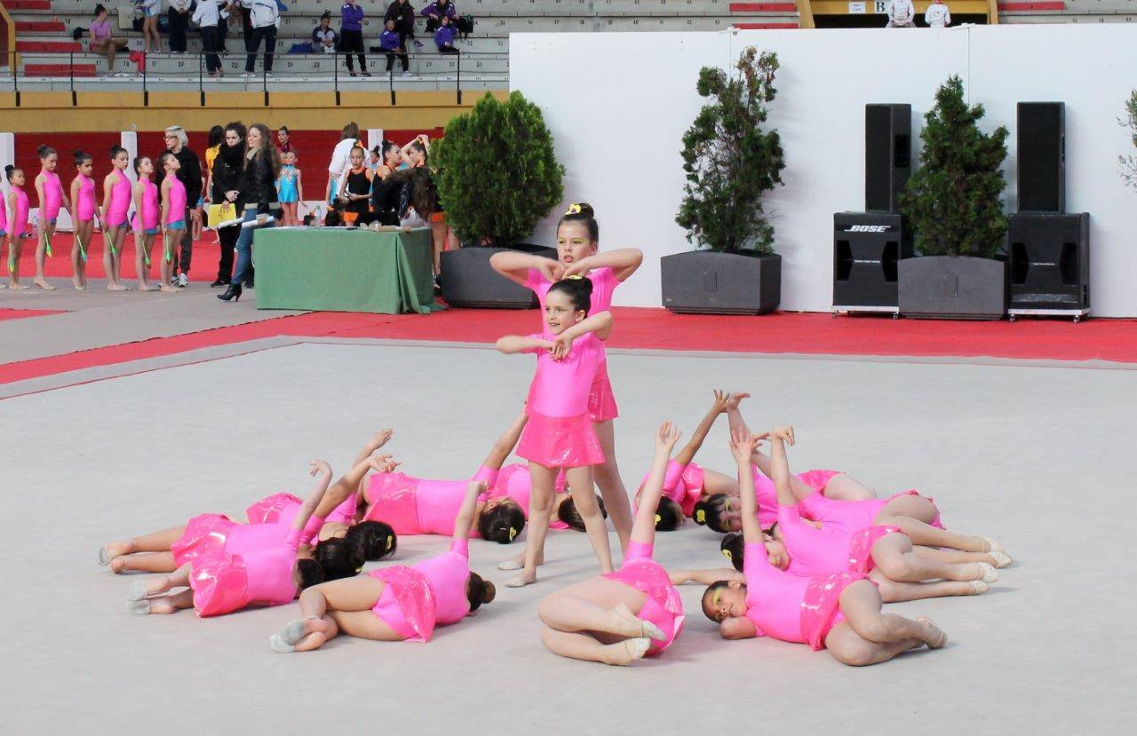 Campeonato Escolar de Gimnasia Rítmica de Castilla y León 2014 celebrado en Íscar (2/3)