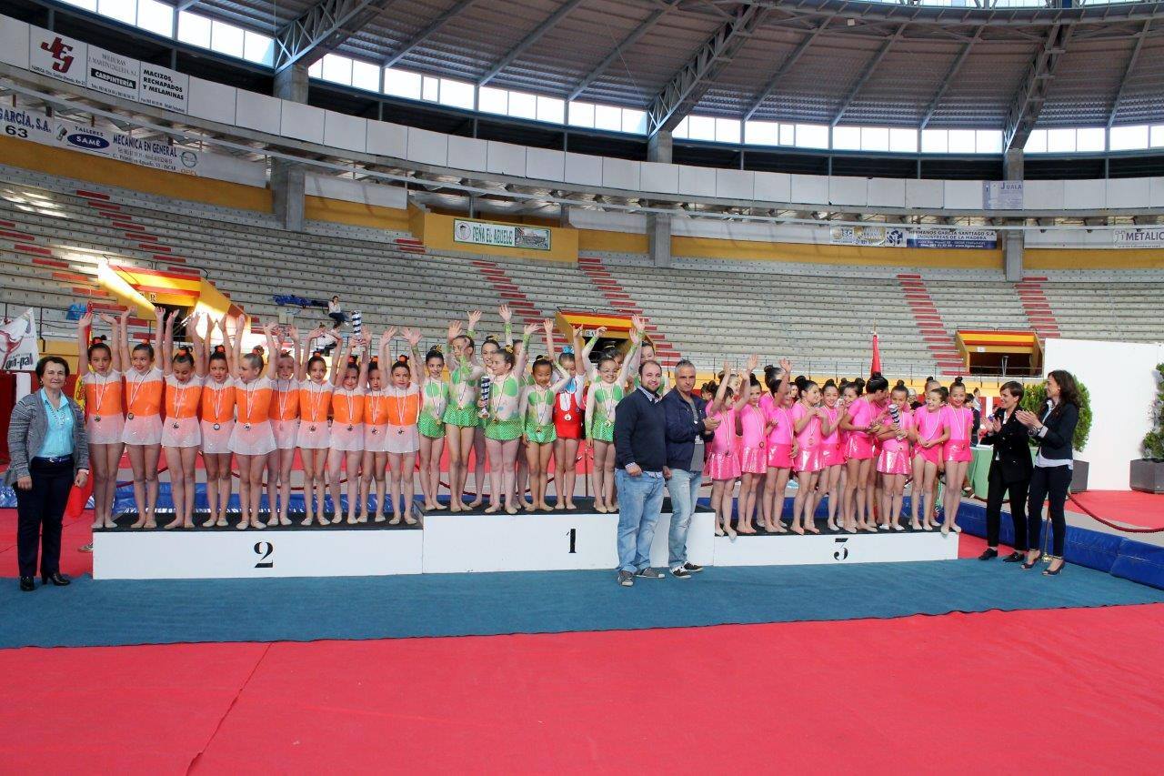 Campeonato Escolar de Gimnasia Rítmica de Castilla y León 2014 celebrado en Íscar (2/3)