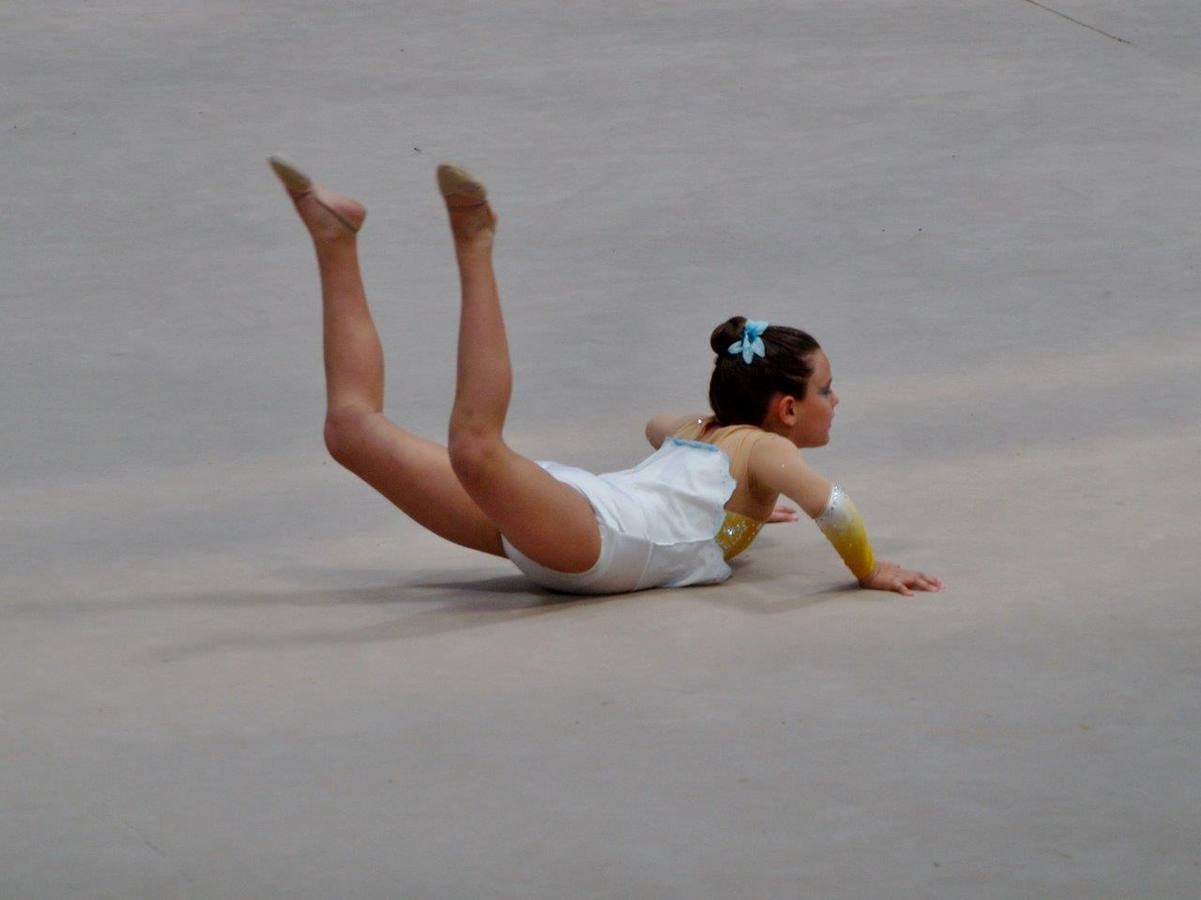 Campeonato Escolar de Gimnasia Rítmica de Castilla y León 2014 celebrado en Íscar (2/3)