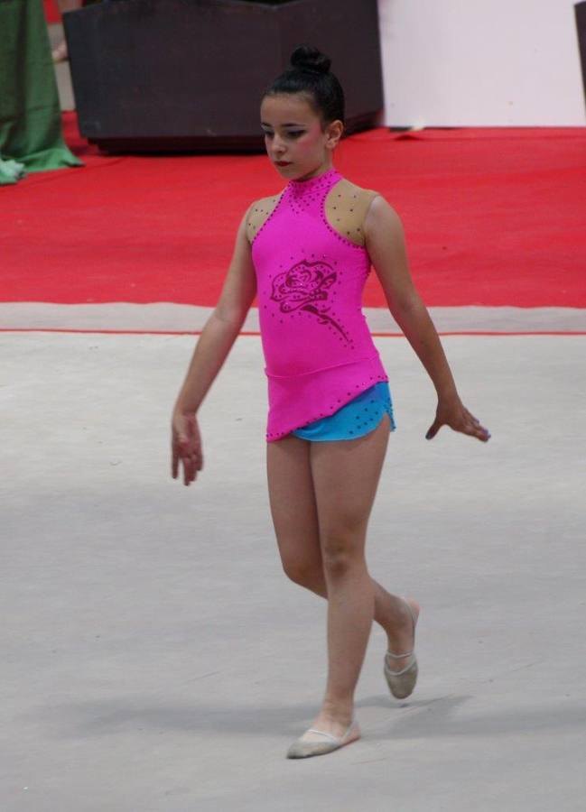 Campeonato Escolar de Gimnasia Rítmica de Castilla y León 2014 celebrado en Íscar (2/3)