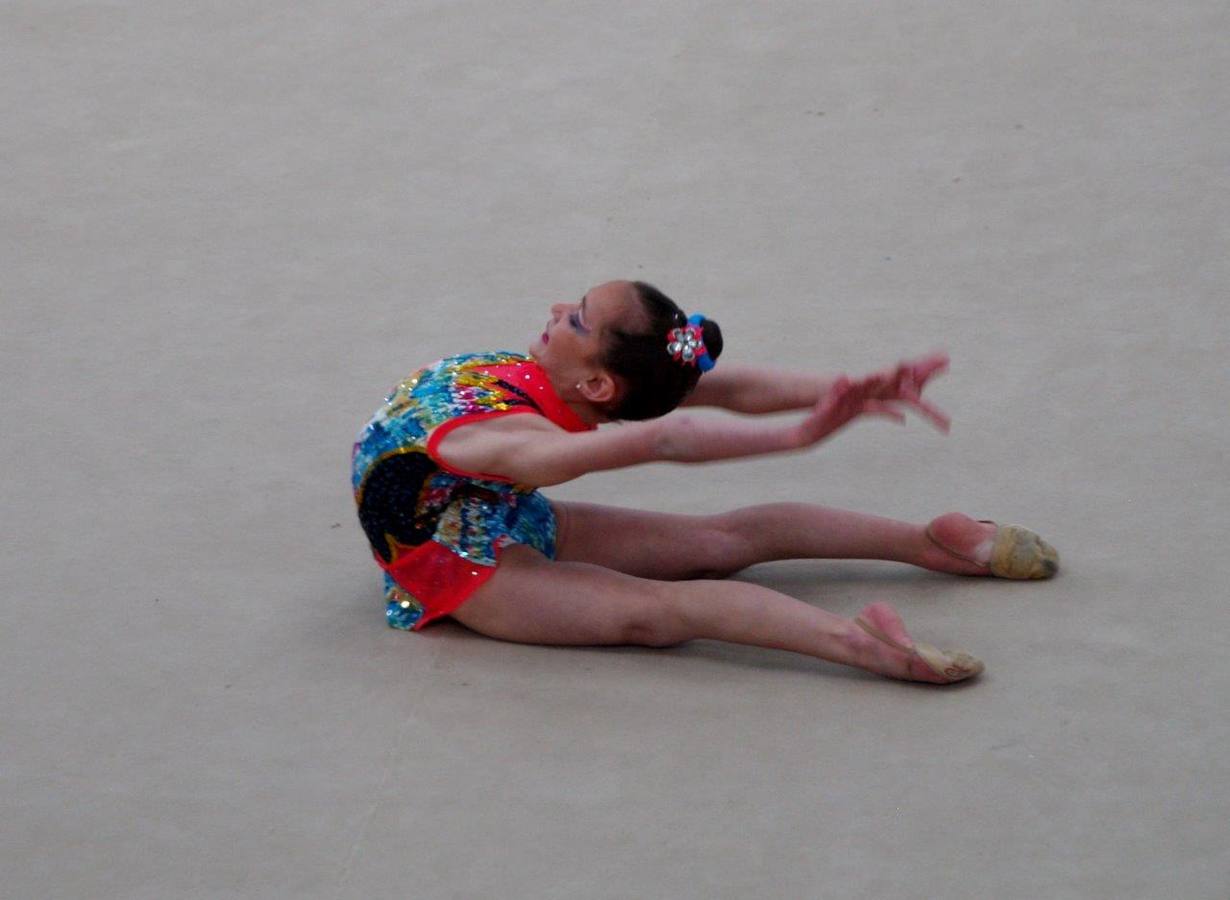 Campeonato Escolar de Gimnasia Rítmica de Castilla y León 2014 celebrado en Íscar (3/3)