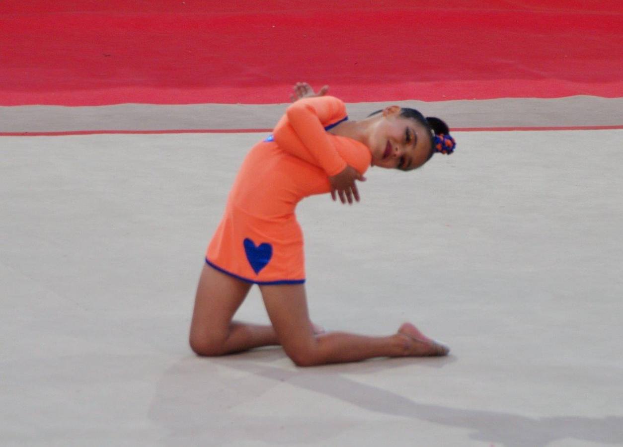 Campeonato Escolar de Gimnasia Rítmica de Castilla y León 2014 celebrado en Íscar (3/3)