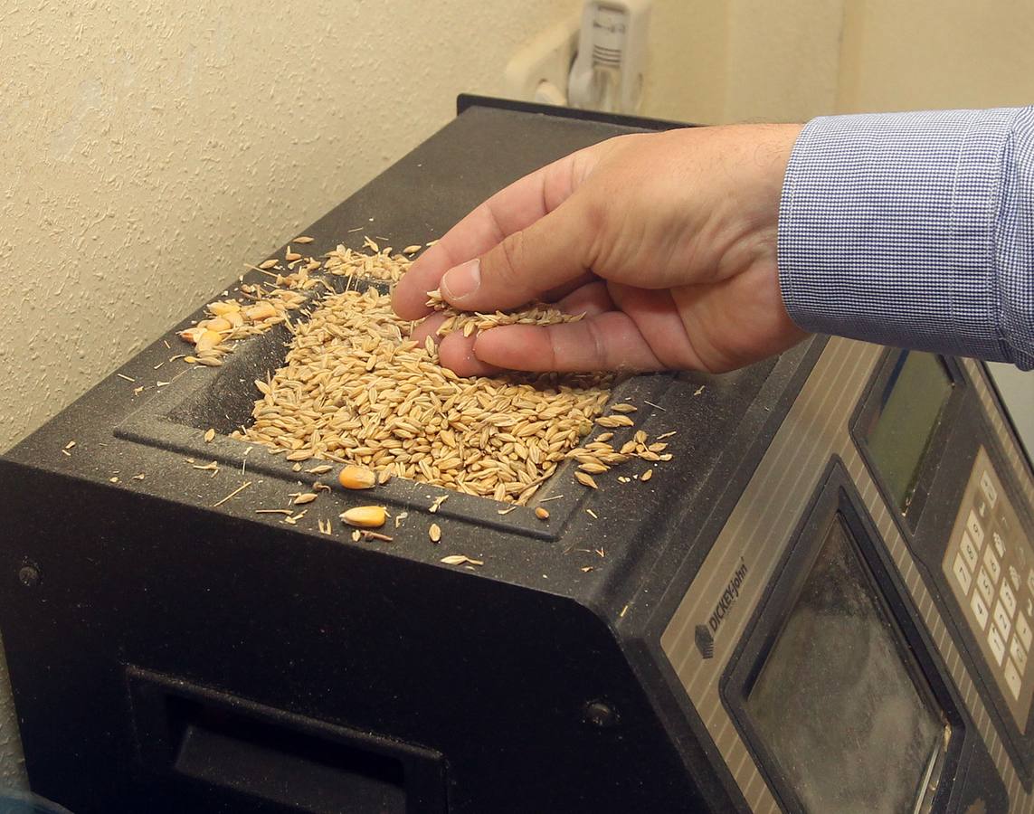 Instalaciones de la fábrica de piensos Proinserga. Segovia