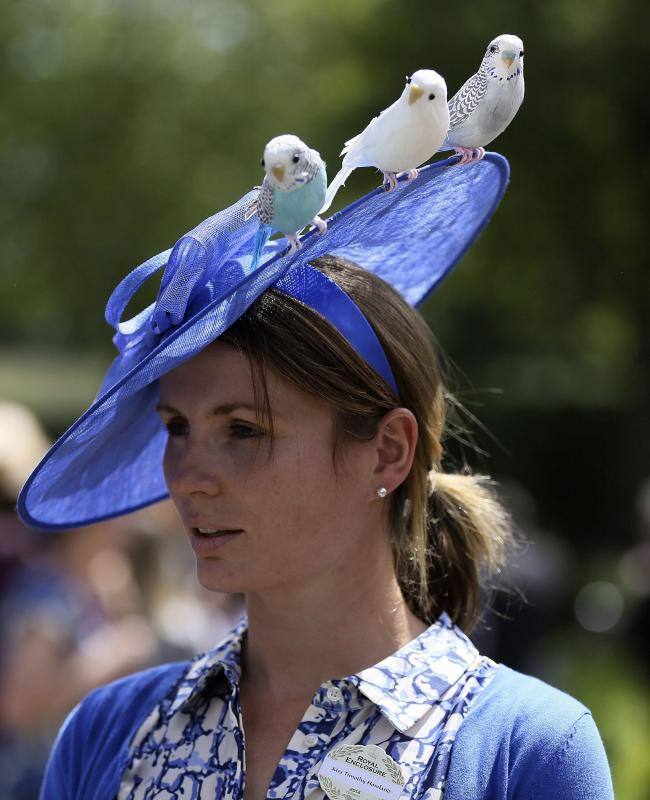 Royal Ascot 2014