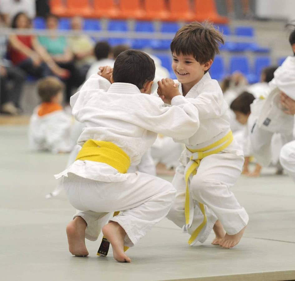 Judo en el Polideportivo Pilar Fernandez Valderrama
