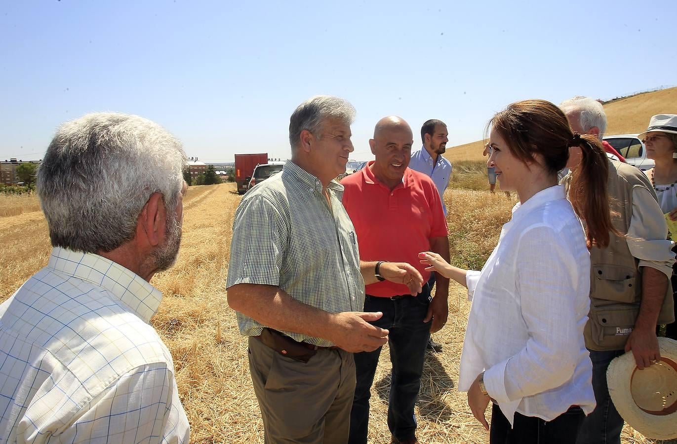 Silvia Clemente presenta los datos de estimación de la cosecha de cereales en Villamuriel de Cerrato (Palencia)