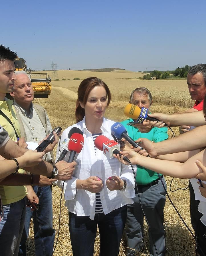 Silvia Clemente presenta los datos de estimación de la cosecha de cereales en Villamuriel de Cerrato (Palencia)