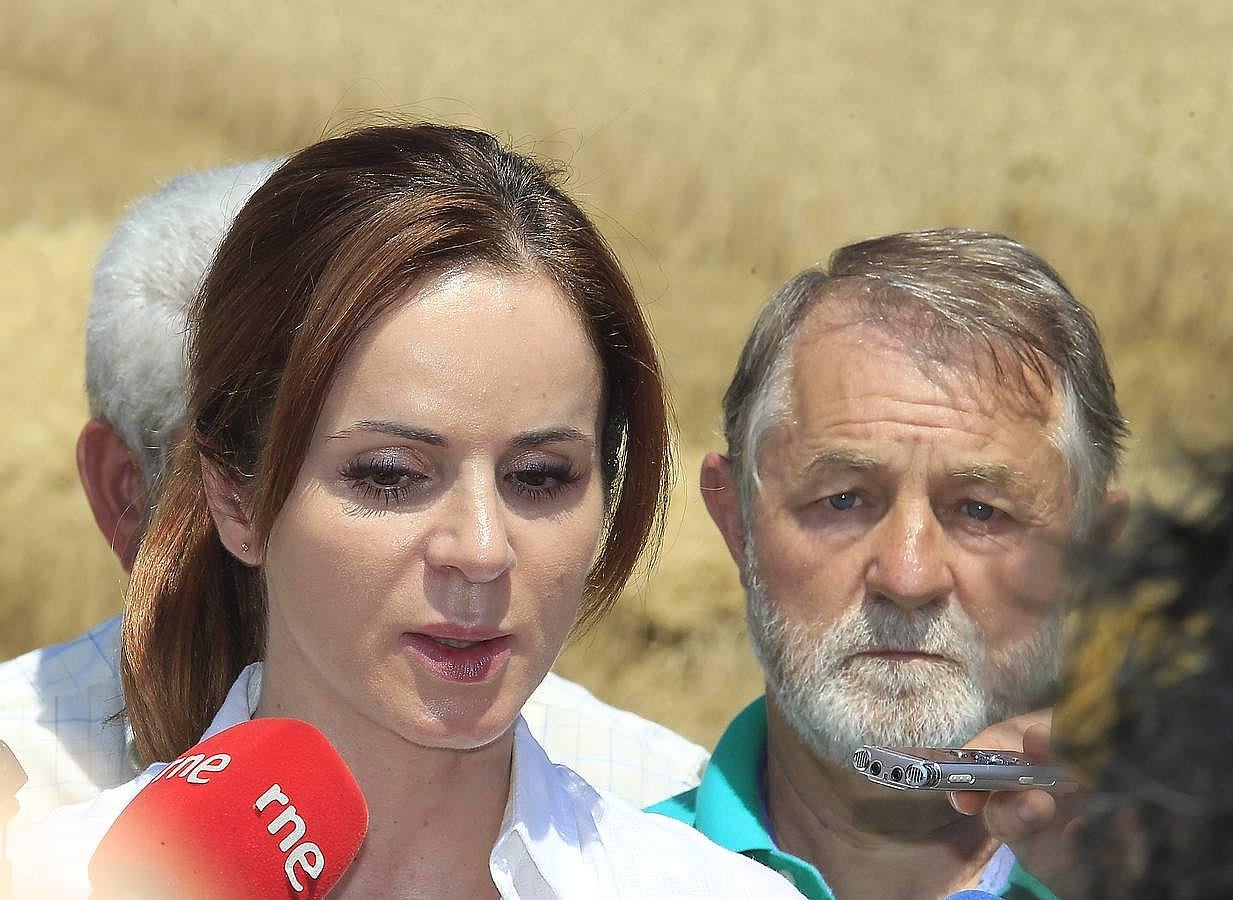 Silvia Clemente presenta los datos de estimación de la cosecha de cereales en Villamuriel de Cerrato (Palencia)