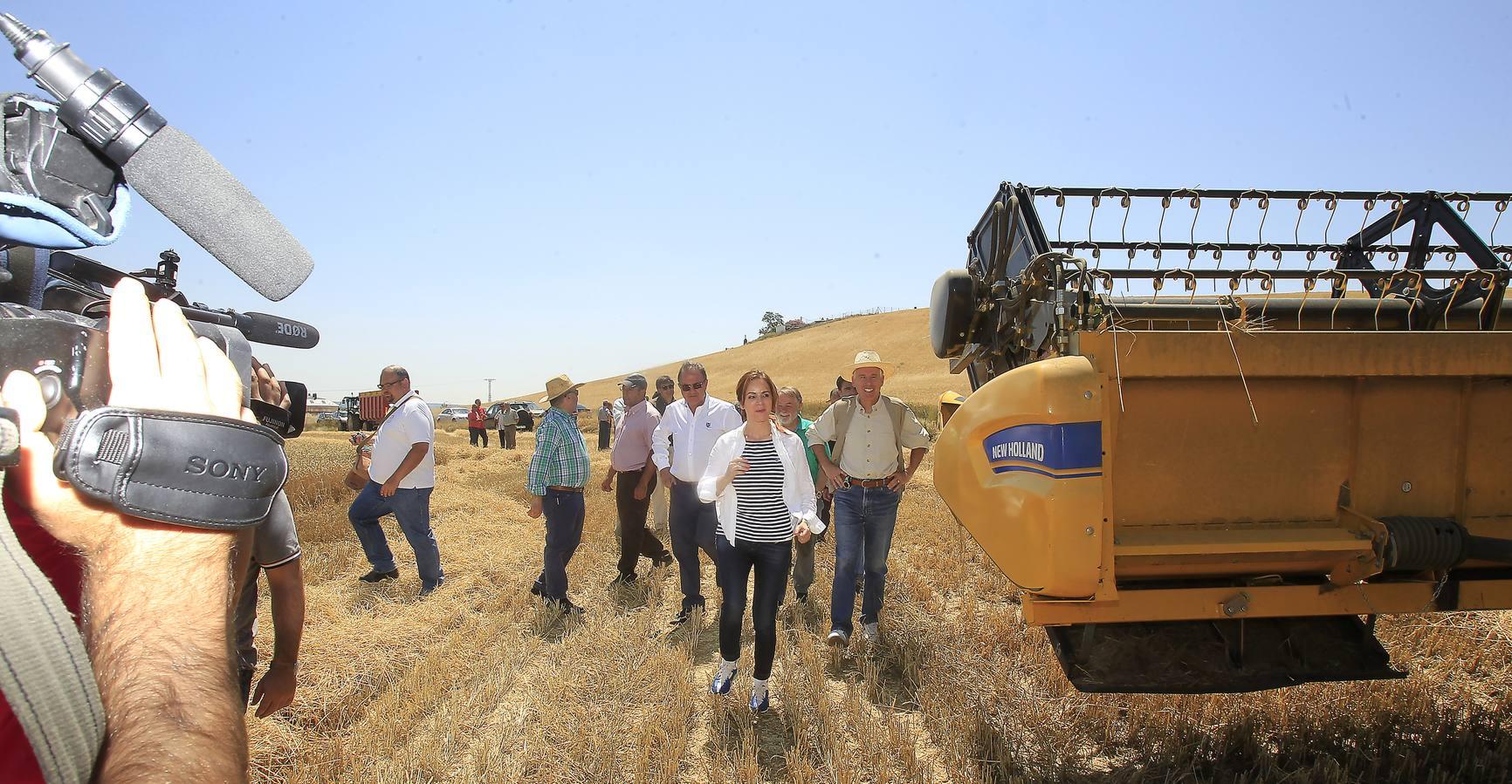 Silvia Clemente presenta los datos de estimación de la cosecha de cereales en Villamuriel de Cerrato (Palencia)