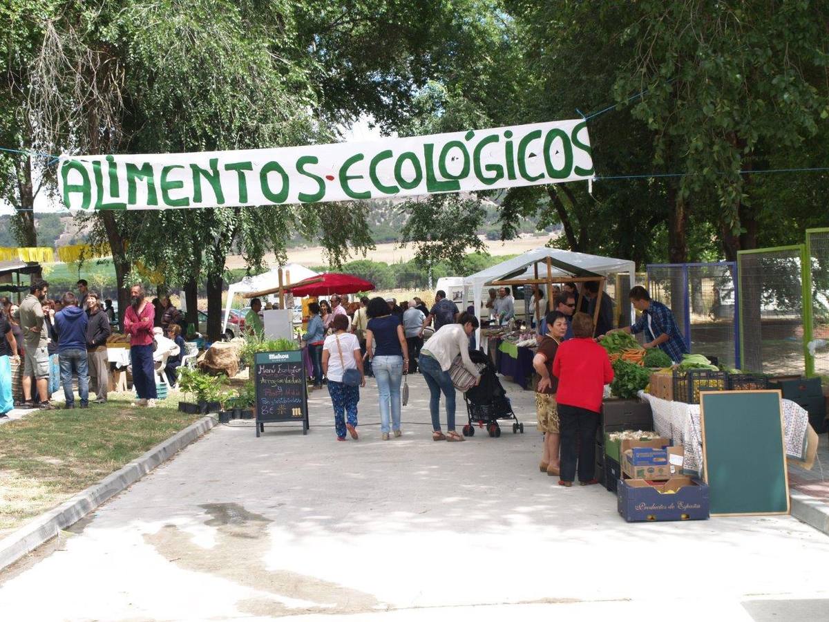 VI Jornadas Campesinas de Megeces