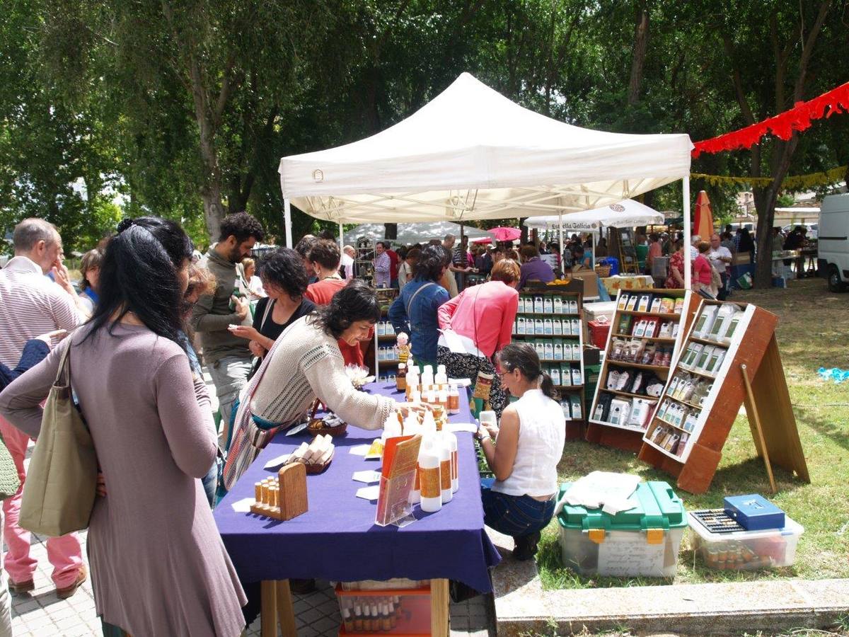 VI Jornadas Campesinas de Megeces