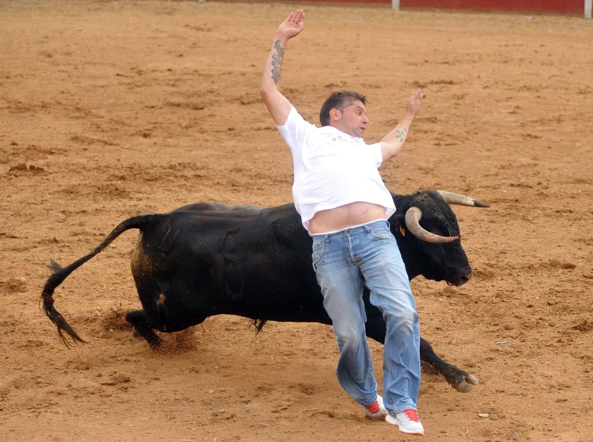 Concurso de cortes de Matapozuelos