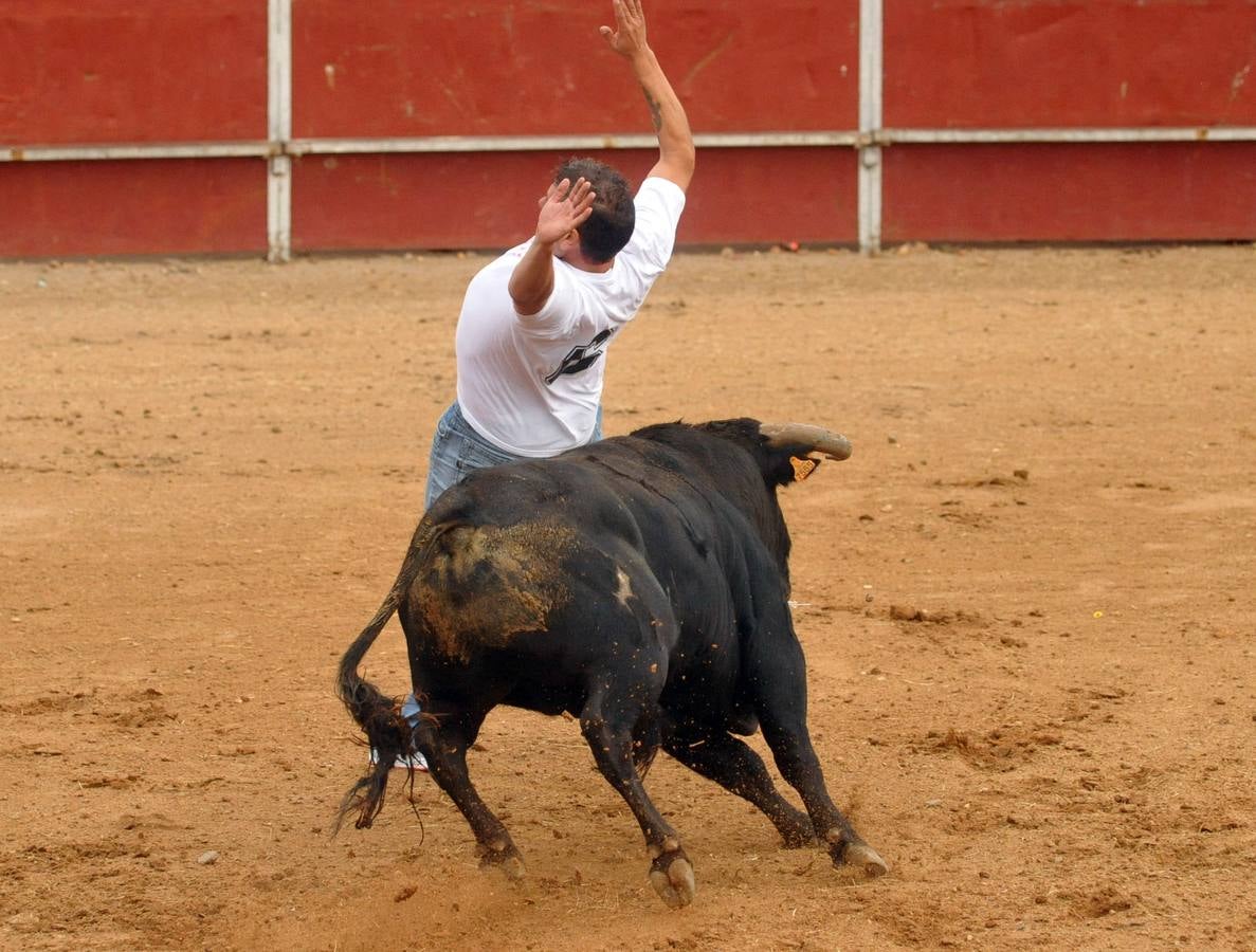 Concurso de cortes de Matapozuelos