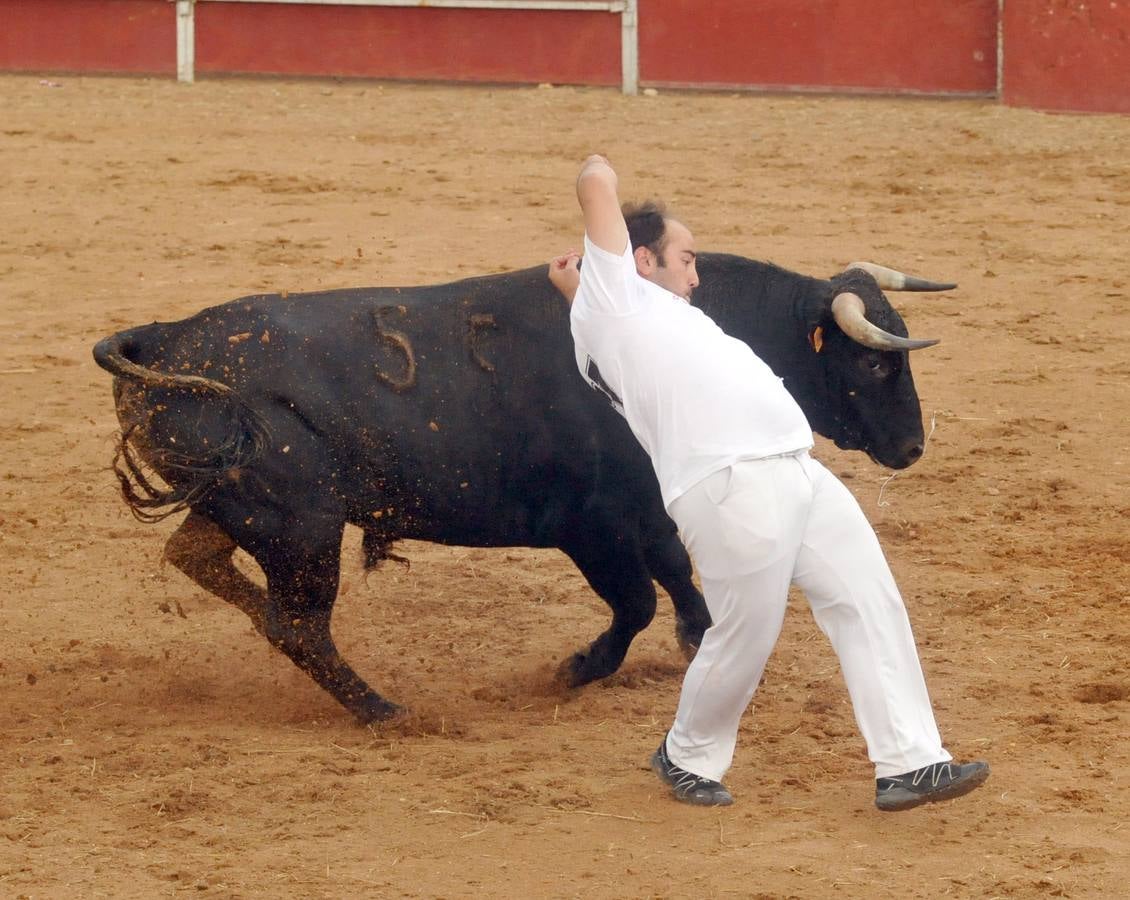 Concurso de cortes de Matapozuelos