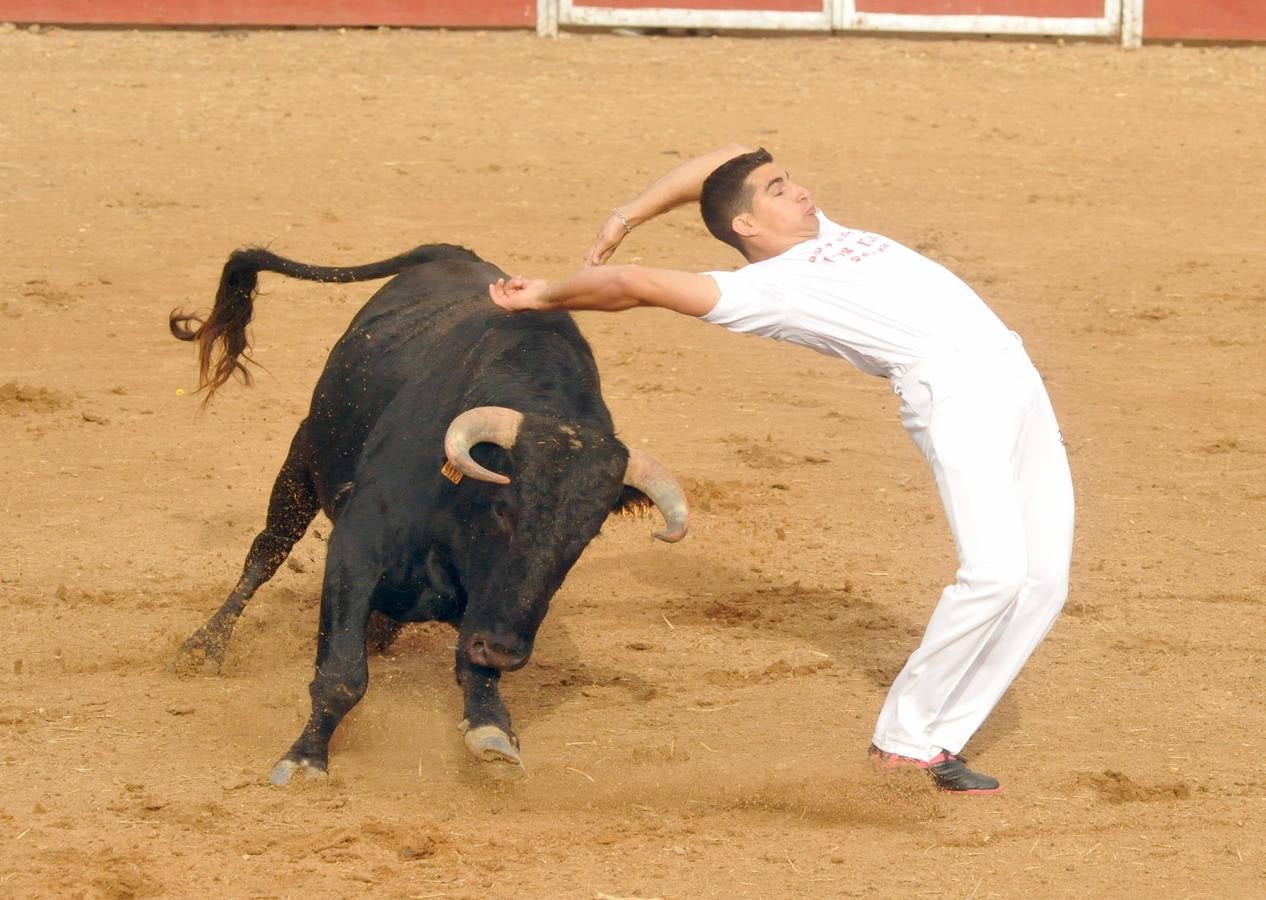 Concurso de cortes de Matapozuelos