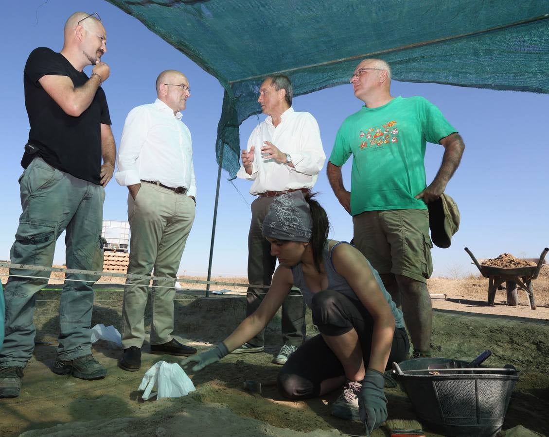 XI Curso de Arqueología de Matallana