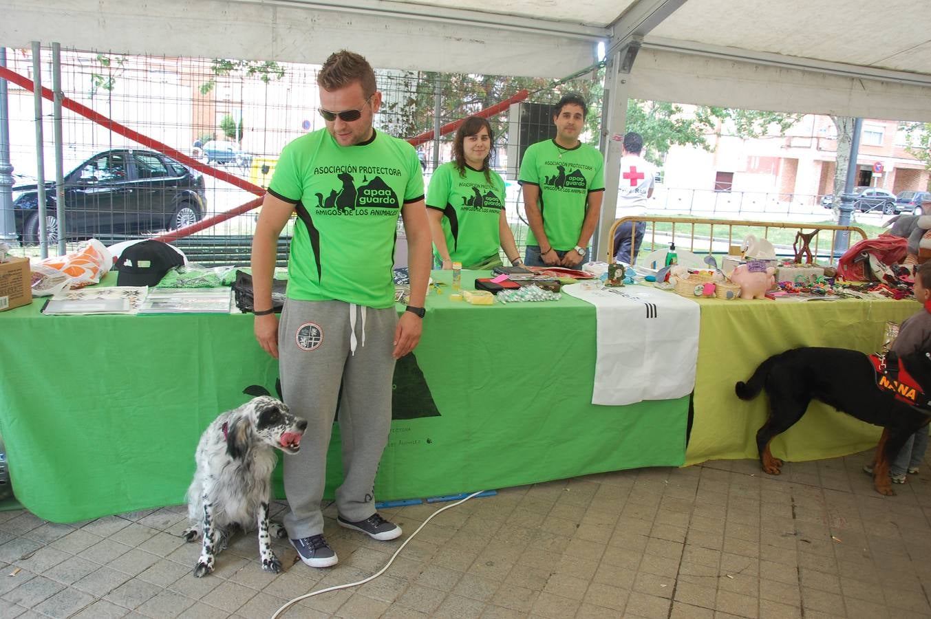 Jornada de convivencia organizada por la Asociación Protectora Amigos de los Animales de Guardo (Palencia)