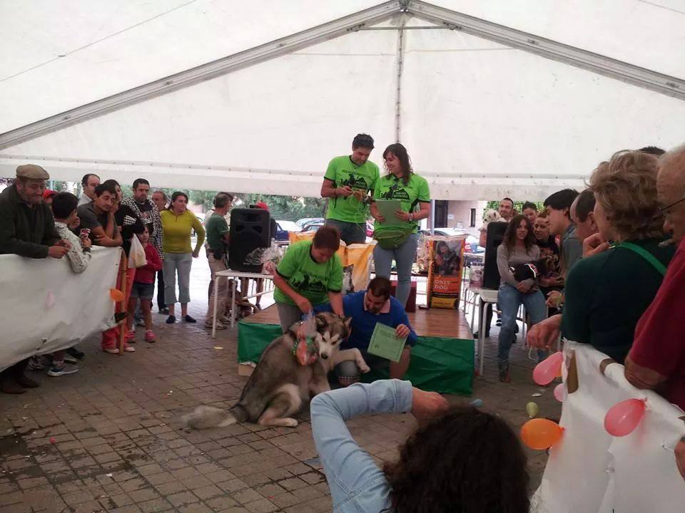 Jornada de convivencia organizada por la Asociación Protectora Amigos de los Animales de Guardo (Palencia)