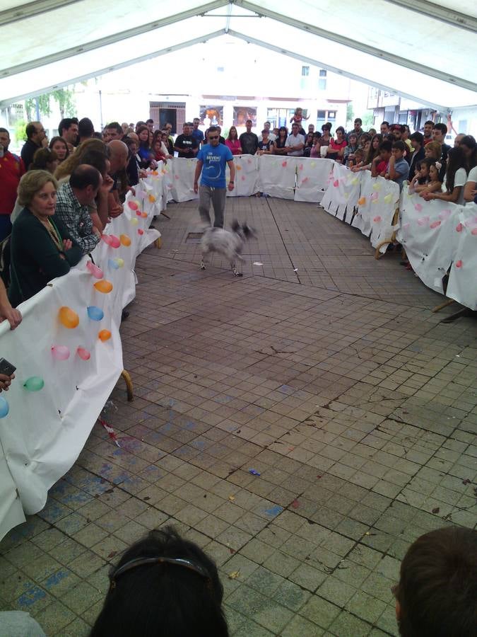 Jornada de convivencia organizada por la Asociación Protectora Amigos de los Animales de Guardo (Palencia)