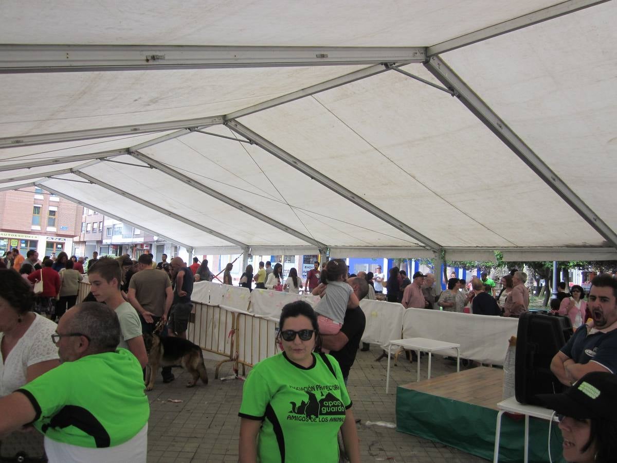 Jornada de convivencia organizada por la Asociación Protectora Amigos de los Animales de Guardo (Palencia)