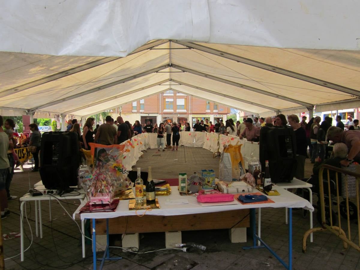 Jornada de convivencia organizada por la Asociación Protectora Amigos de los Animales de Guardo (Palencia)