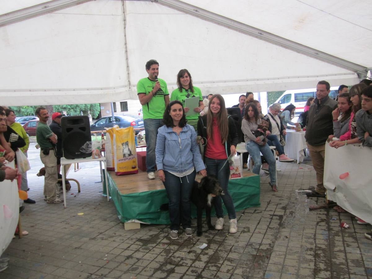 Jornada de convivencia organizada por la Asociación Protectora Amigos de los Animales de Guardo (Palencia)