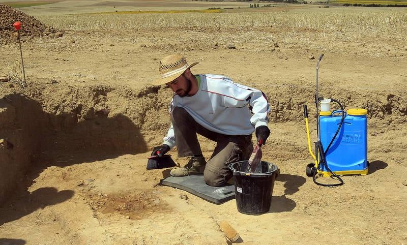 Visita al yacimiento arqueológico de Dessobriga en Osorno (Palencia)