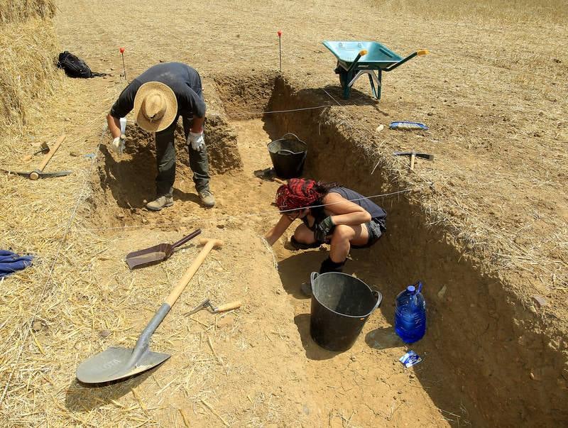 Visita al yacimiento arqueológico de Dessobriga en Osorno (Palencia)