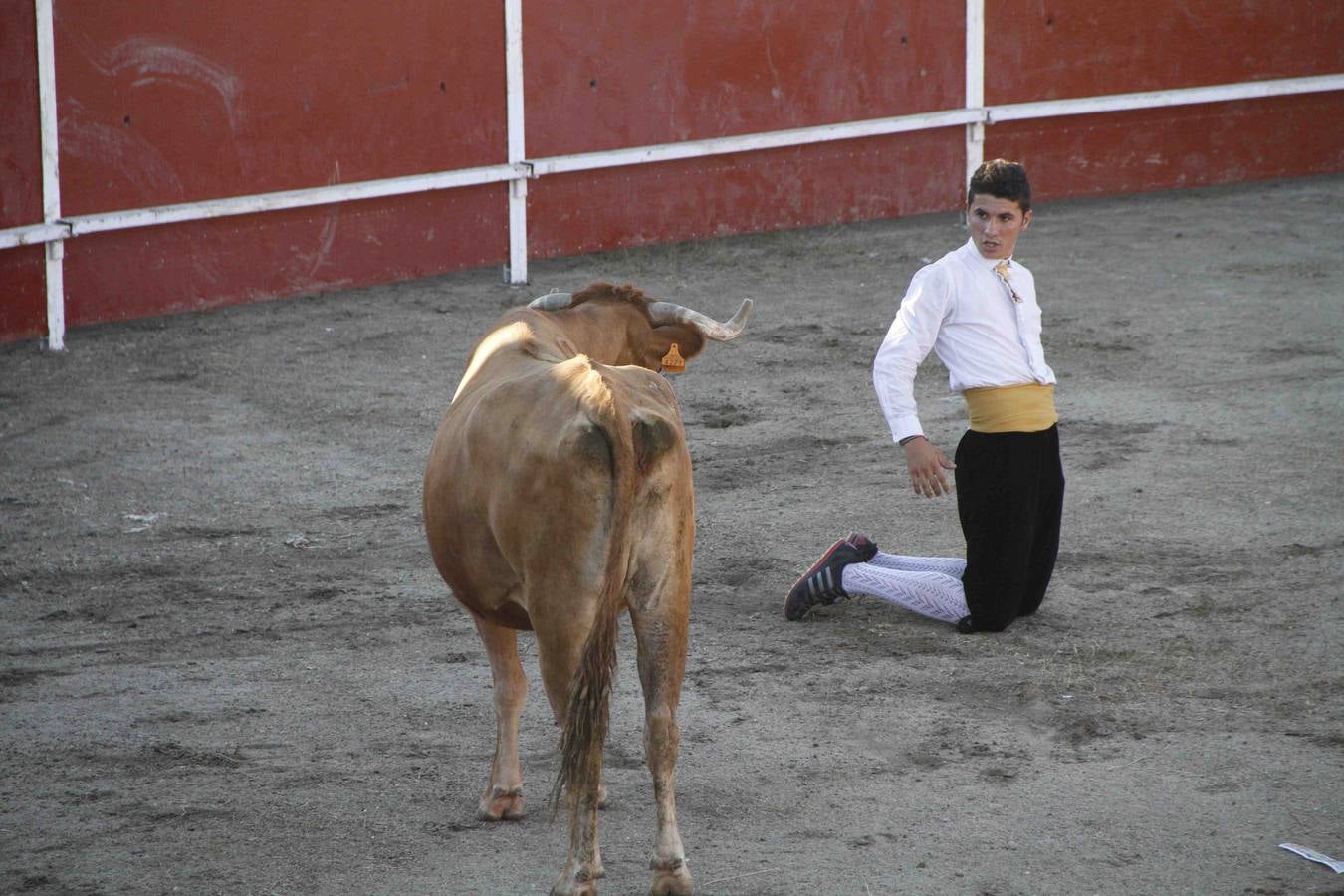 Exhibición de cortes, quiebros y saltos en Campaspero