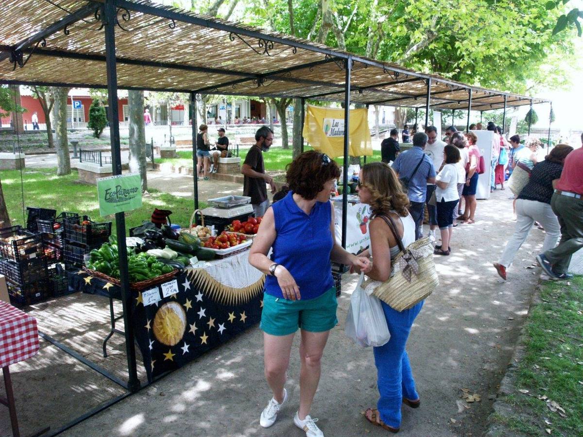 Feria de la Cerveza y Mercado Ecológico (2/2)