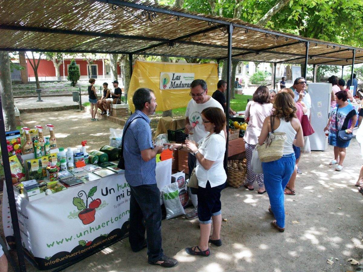Feria de la Cerveza y Mercado Ecológico (2/2)