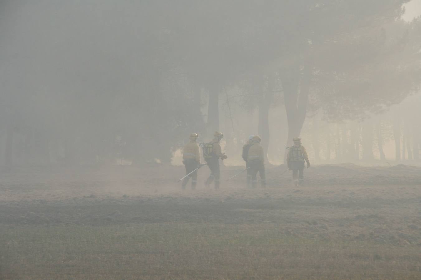 Incendio de Pinarejos