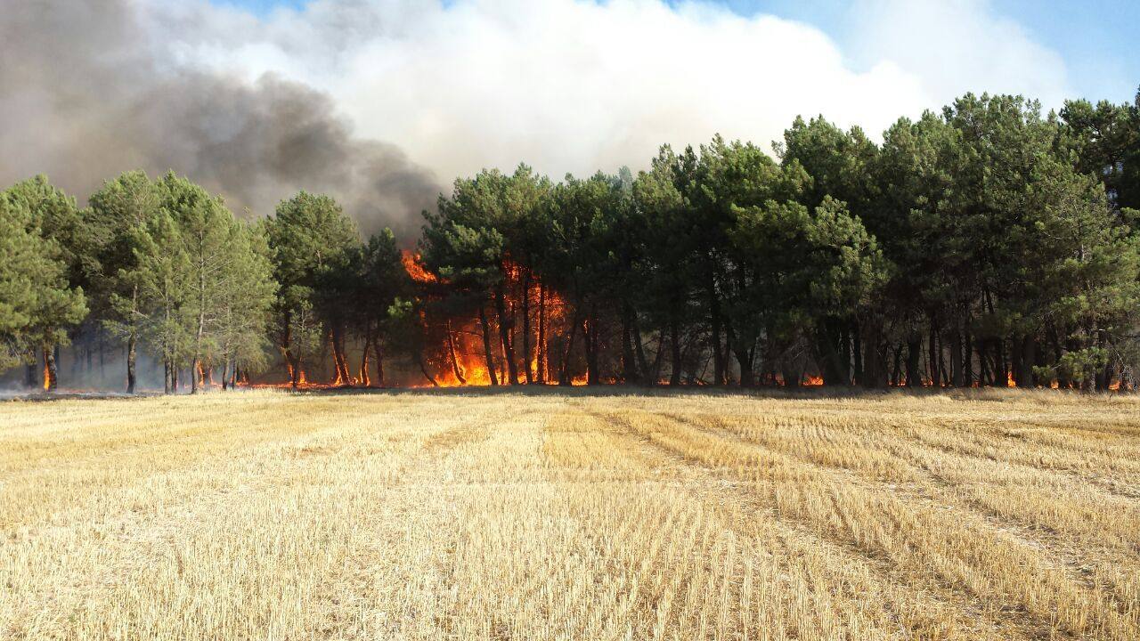 Incendio de Pinarejos