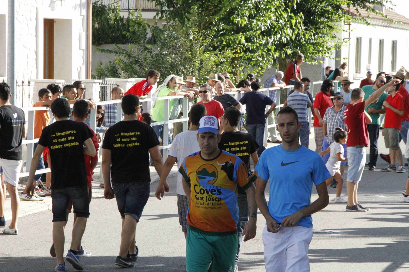 Novillo del Alba y capea en Campaspero