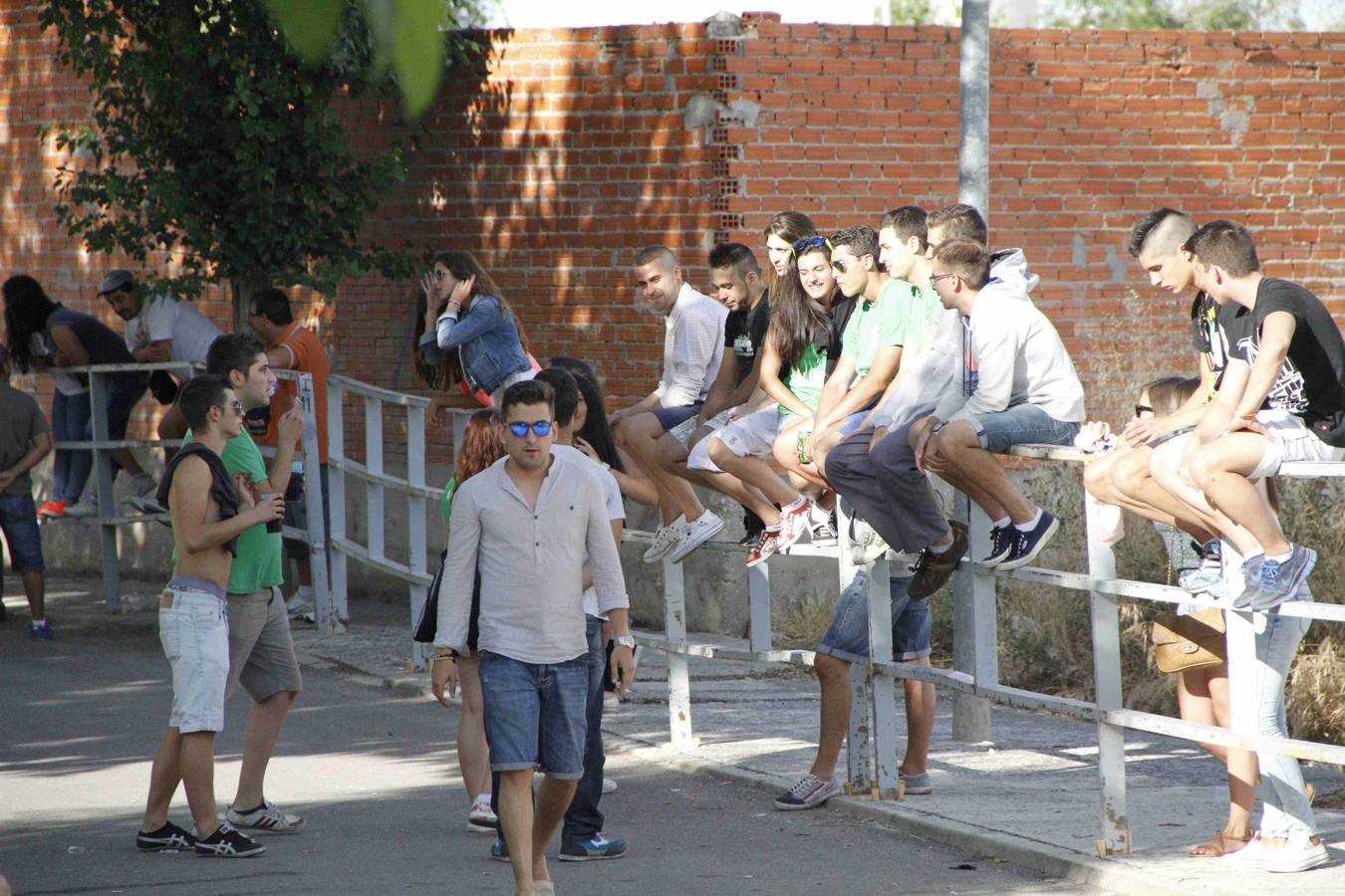 Novillo del Alba y capea en Campaspero