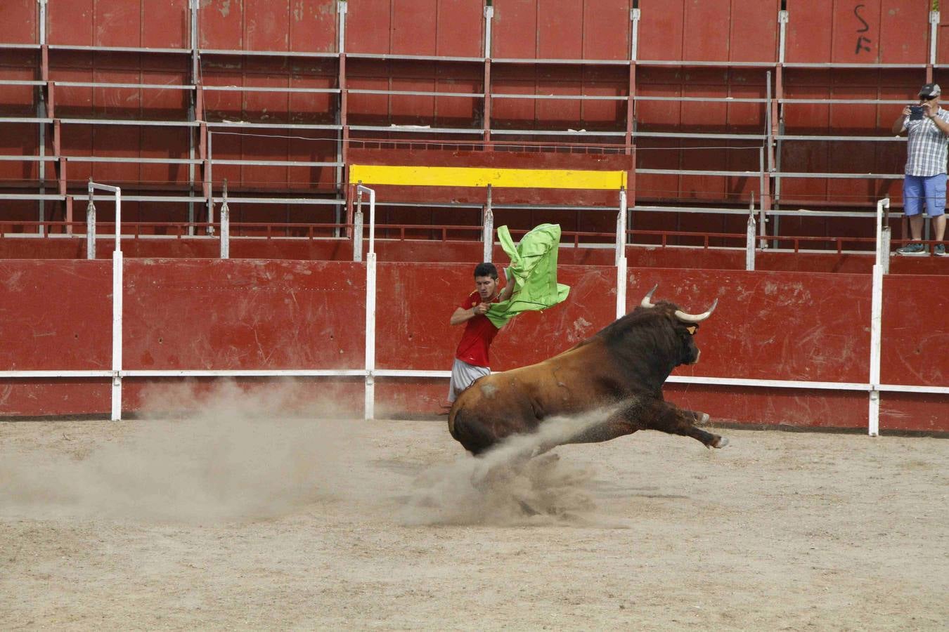 Novillo del Alba y capea en Campaspero