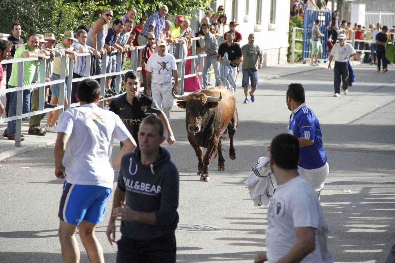 Novillo del Alba y capea en Campaspero